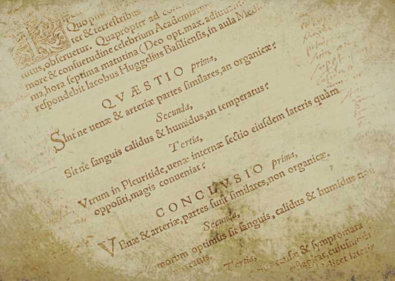 A arte da&nbsp;conexão